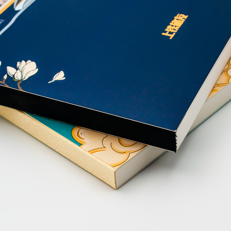 Custom Die-Cut 3D Notebook(80 Pages) - meidaip