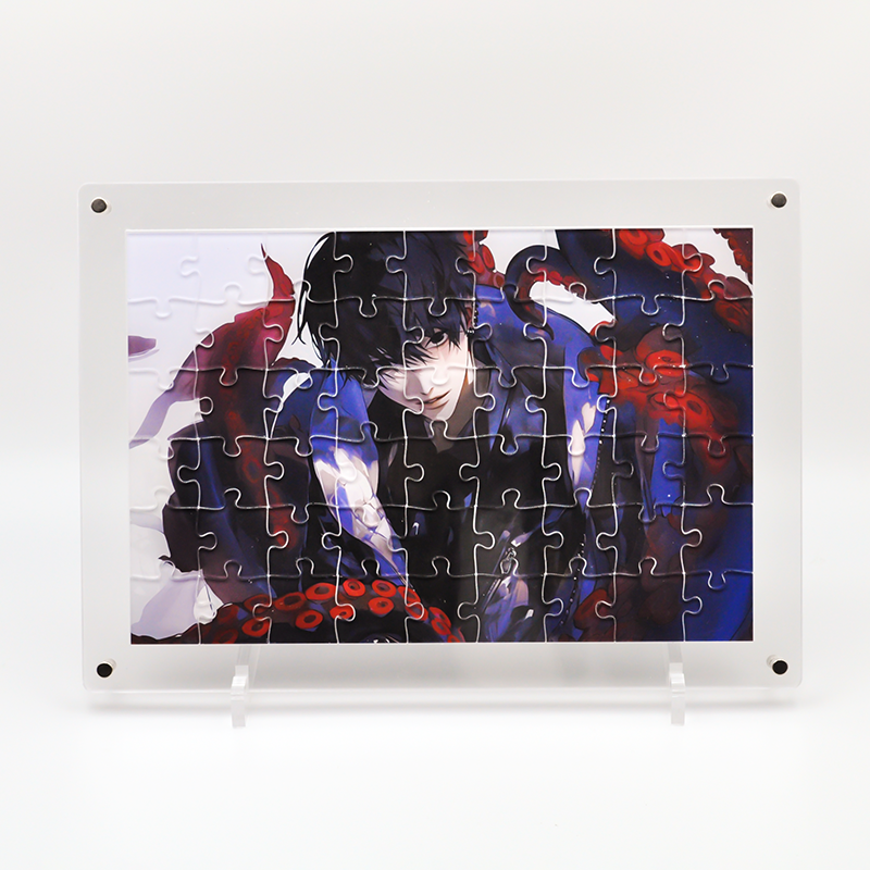 Custom Transparent acrylic puzzle-Meidaip