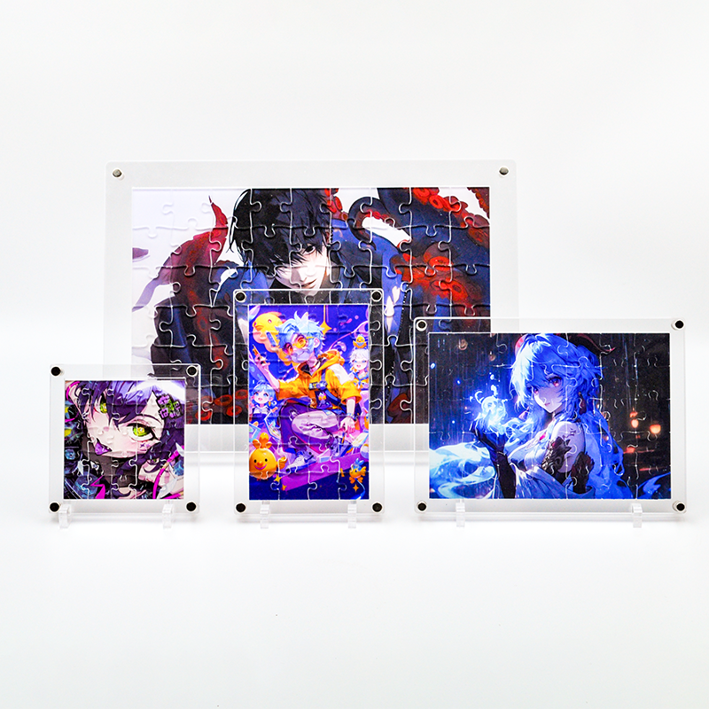 Custom Transparent acrylic puzzle-Meidaip