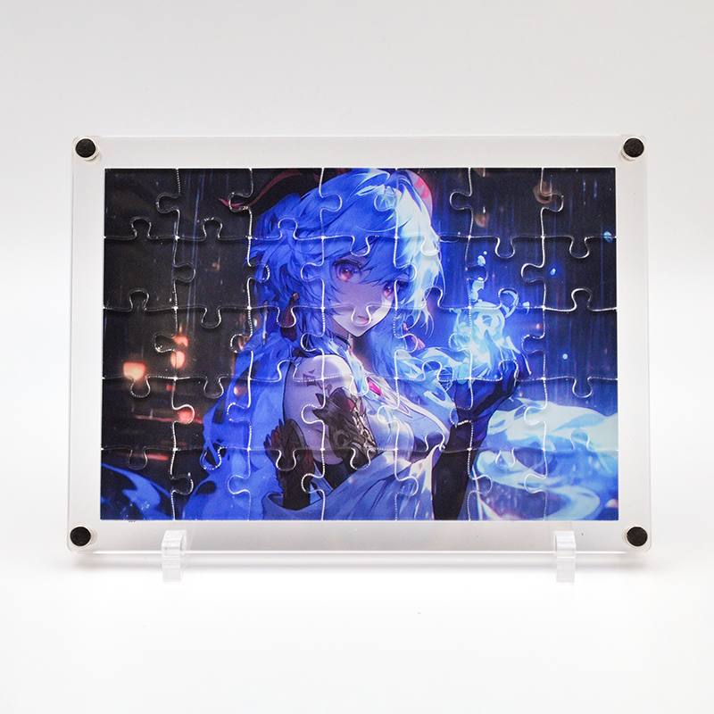 Custom Transparent acrylic puzzle-Meidaip